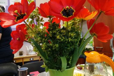 TERMINARZ  ORGANIZOWANYCH IMPREZ  w roku 2017