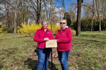 Sadzenie Drzewka Wsparcia – Ambrowca