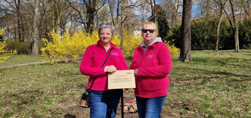 Sadzenie Drzewka Wsparcia – Ambrowca